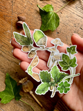 The Nature of Disguise: Whimsical Forest Masks & Botanical Watercolor Sticker Set
