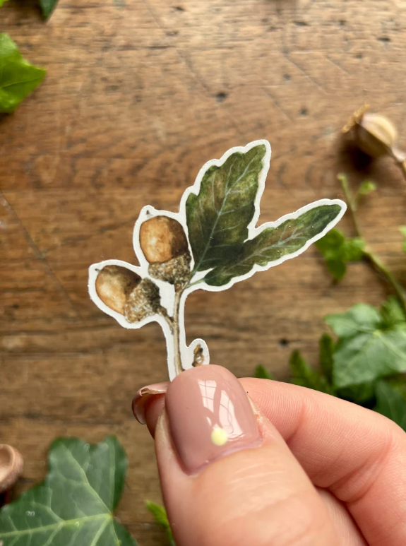 The Nature of Disguise: Whimsical Forest Masks & Botanical Watercolor Sticker Set